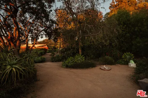 a view of outdoor space and yard