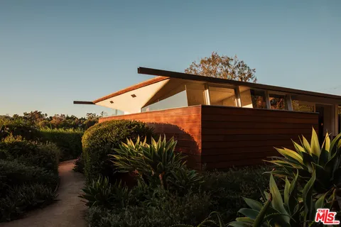 a view of a potted plant in front of a house