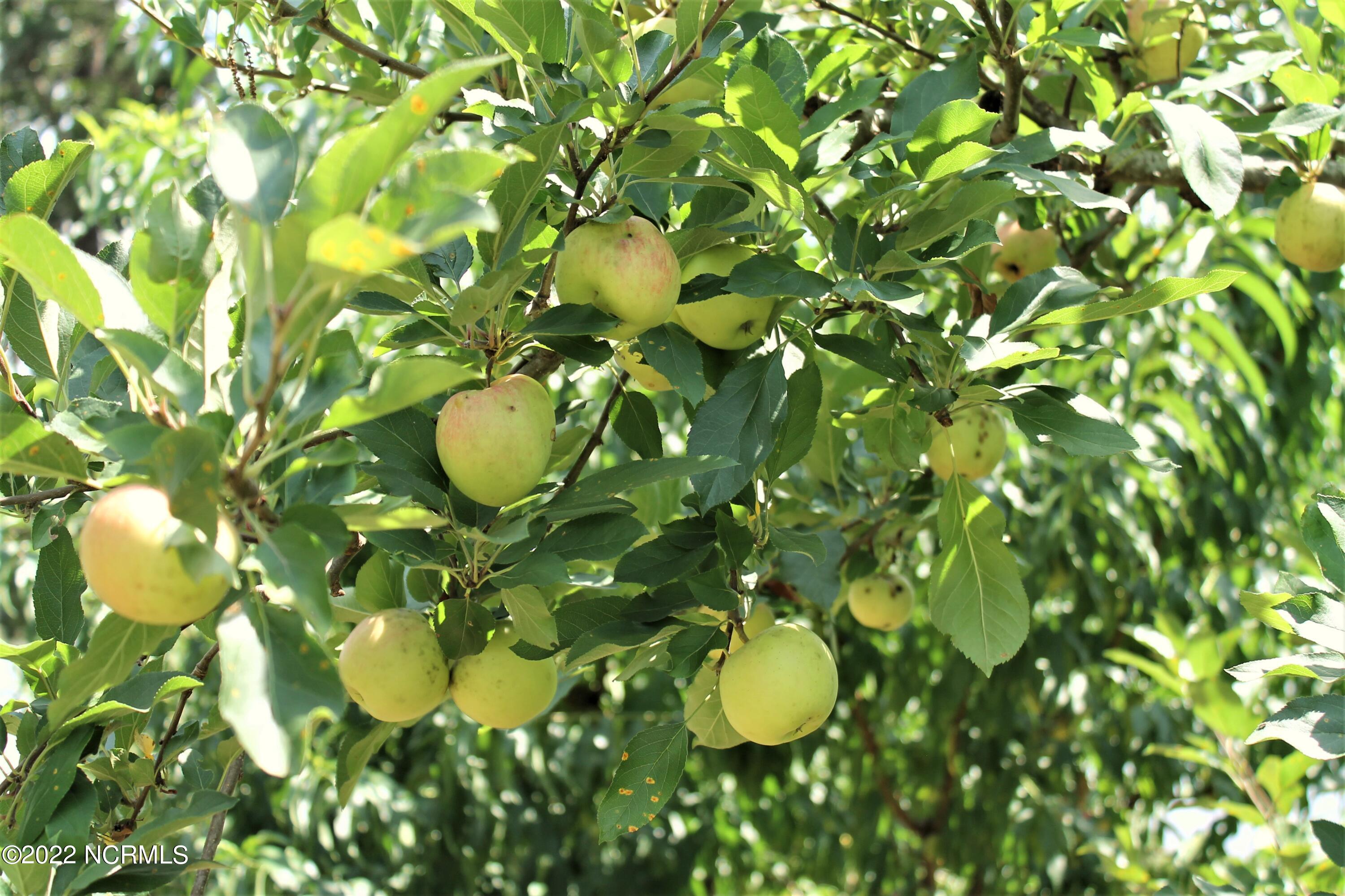 165 Matthews Road Lakeview, NC 28350 - Photo 21 of 59 09