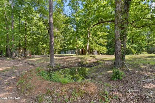 a view of outdoor space with trees