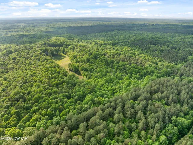 a view of a city with lush green forest