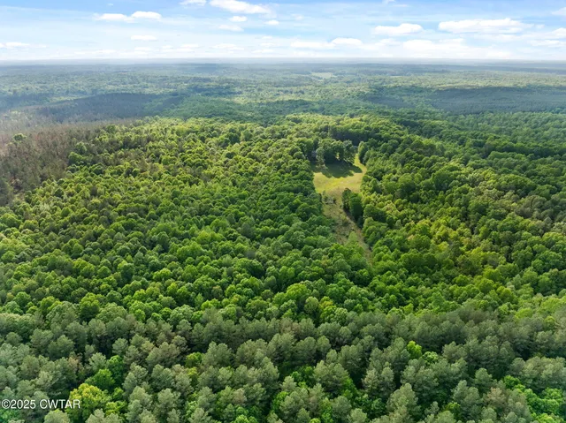 a view of a lake with a yard