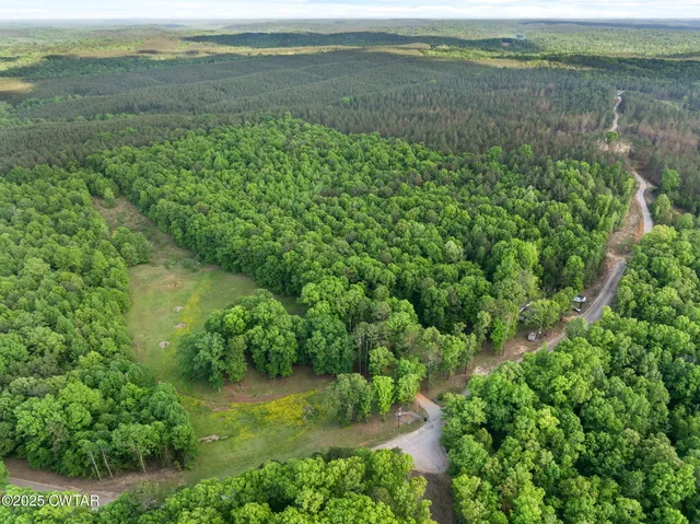 a view of a lush green forest with lots of trees