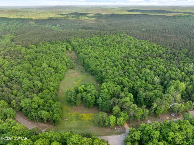 a view of a lush green space