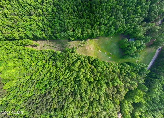 a view of a garden from a balcony