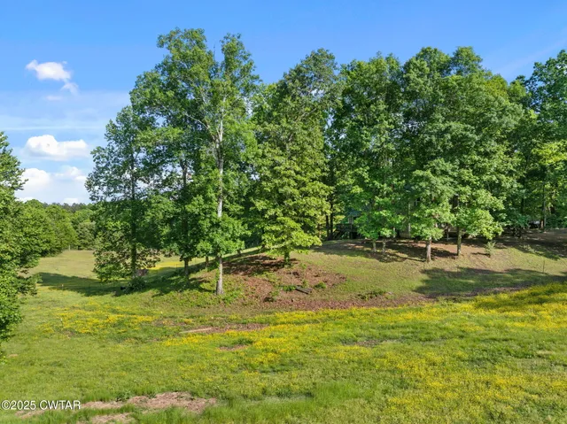 a view of a swimming pool with a yard