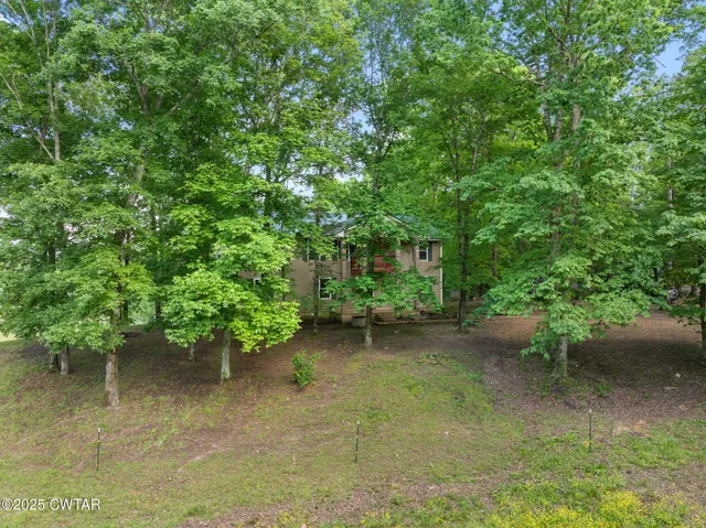 a backyard of a house with plants and large trees