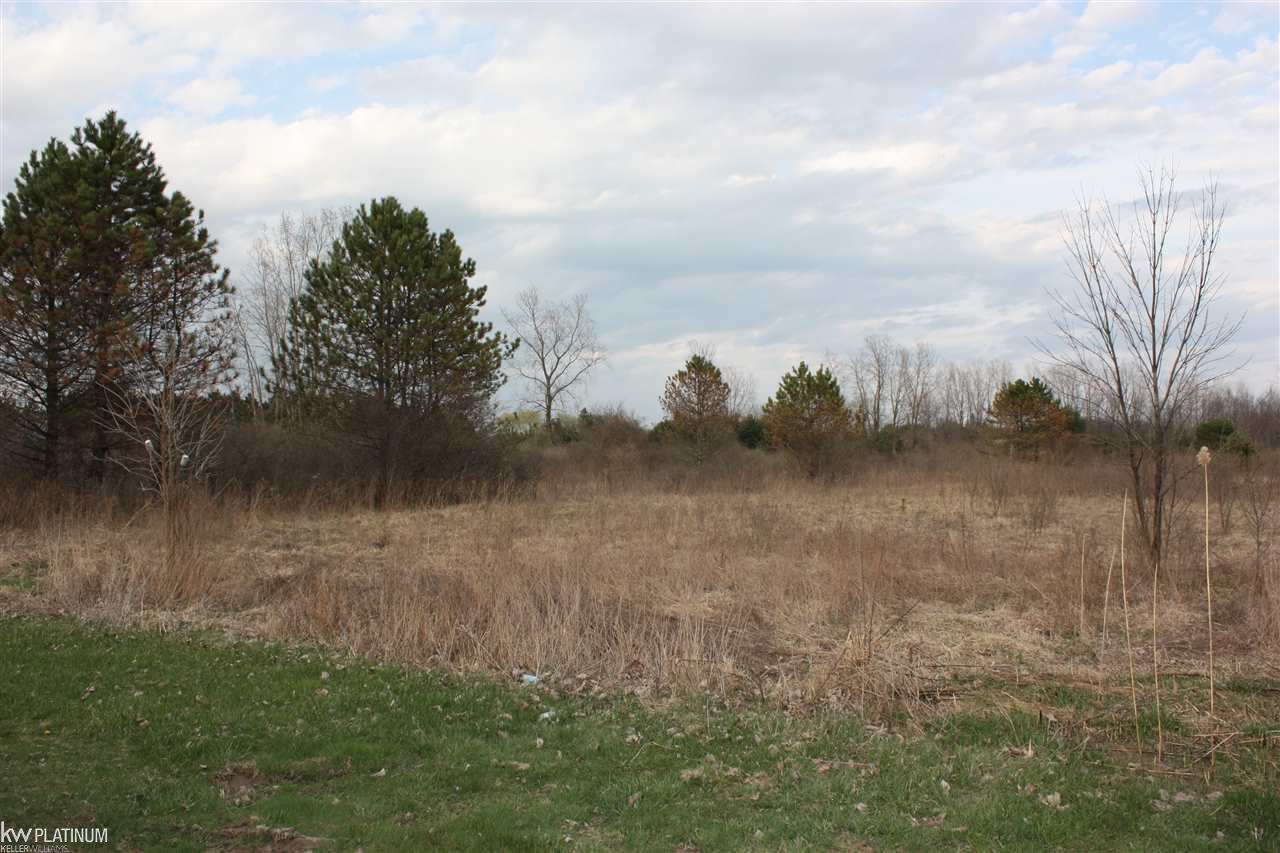 5930 Wildcat Road North Street, MI 48049 - Photo 33 of 41