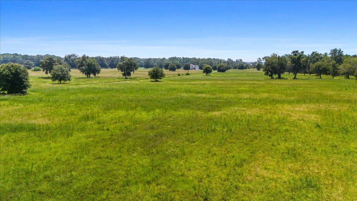 Lot 4 Church Flats Road Meggett, SC 29449 - Photo 12 of 13 12-DJI_20240812121804_0036_D_DJI