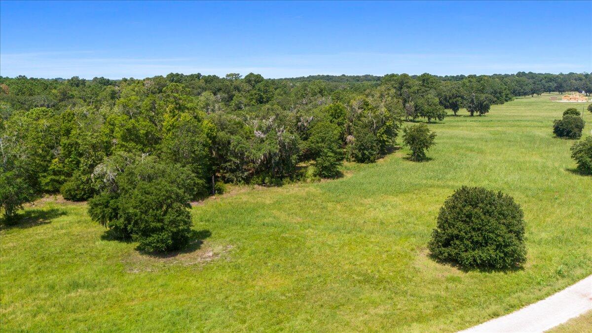 Lot 4 Church Flats Road Meggett, SC 29449 - Photo 10 of 13 11-DJI_20240812121600_0030_D_DJI