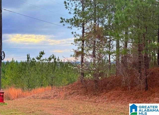 Shore Side Lane, Unit 202 Sylacauga, AL 35151 - Photo 1 of 3