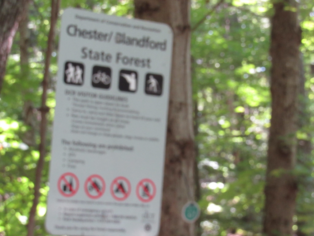 6 Round Hill Road Chester, MA 01011 - Photo 4 of 5 a sign that is on a tree