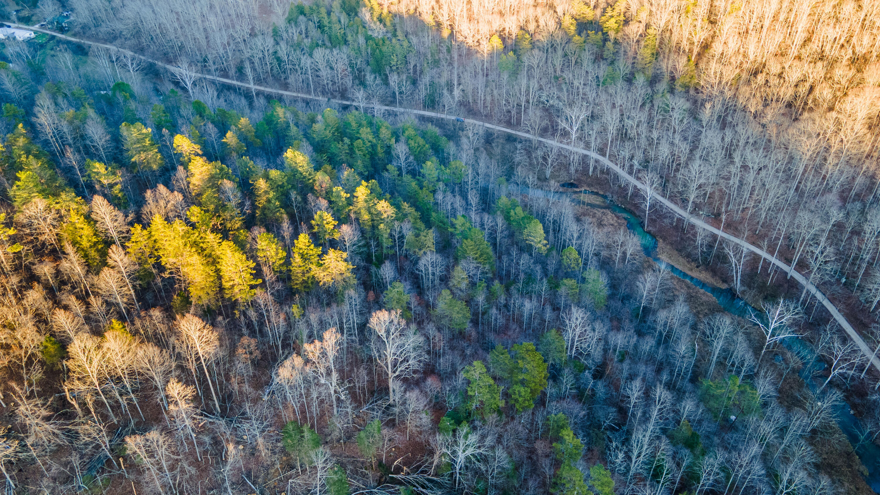 0 Crooked Crk Road Orlando, KY 40460 - Photo 11 of 20 CrookedCreekRd-04