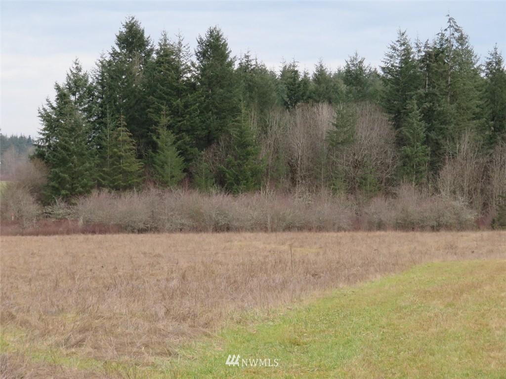 -xxx Xxx Bremgartner Road Winlock, WA 98596 - Photo 1 of 25