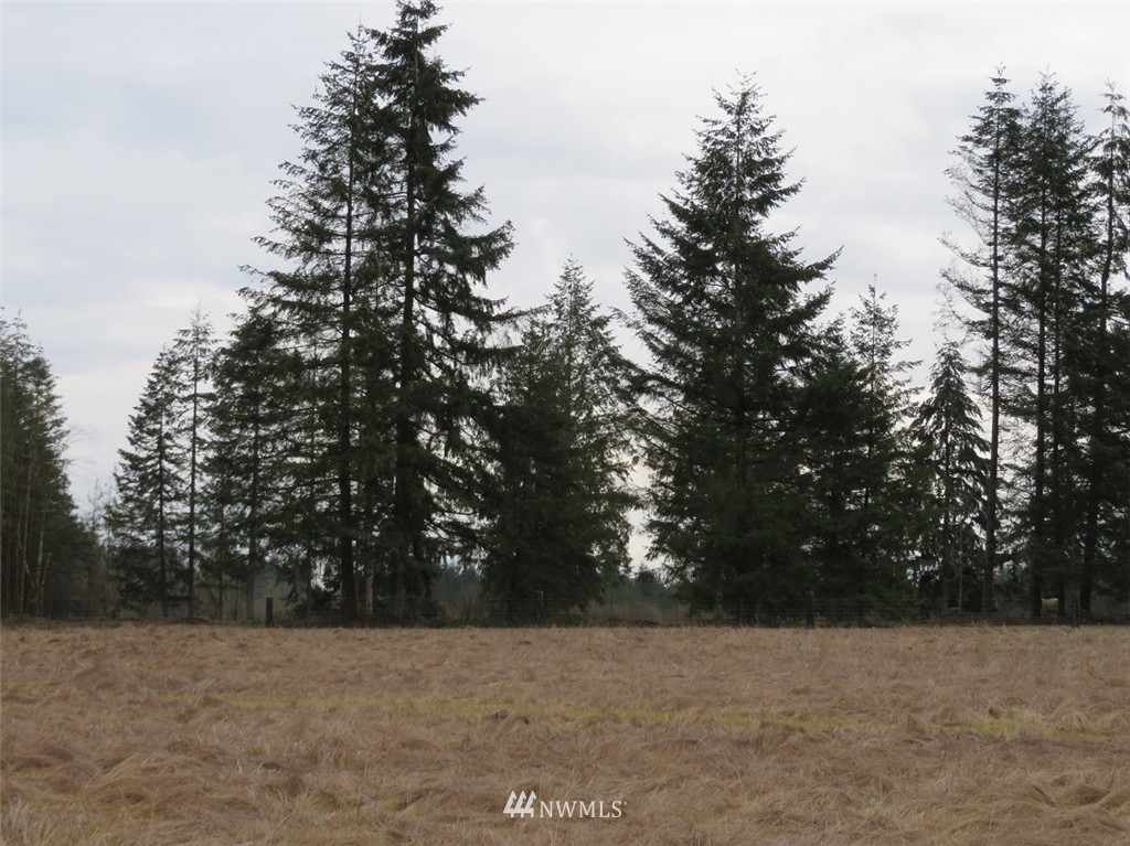 -xxx Xxx Bremgartner Road Winlock, WA 98596 - Photo 14 of 25