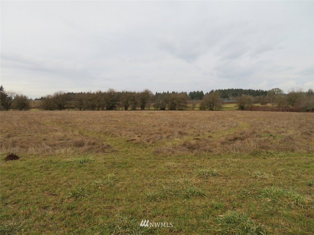 -xxx Xxx Bremgartner Road Winlock, WA 98596 - Photo 3 of 25