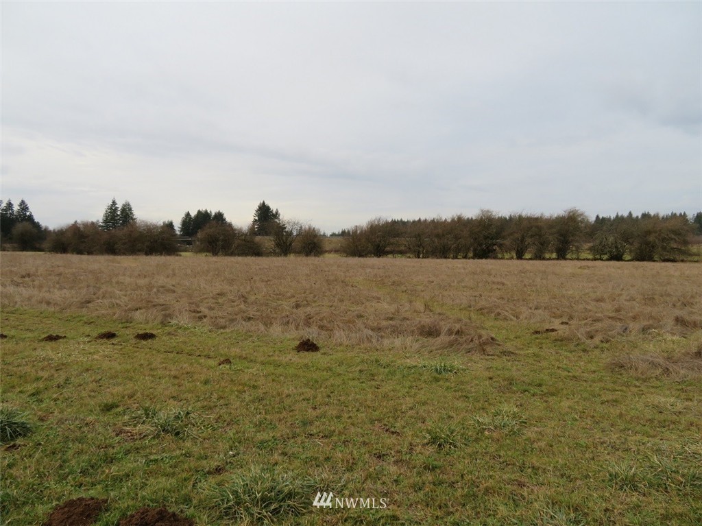 -xxx Xxx Bremgartner Road Winlock, WA 98596 - Photo 22 of 25