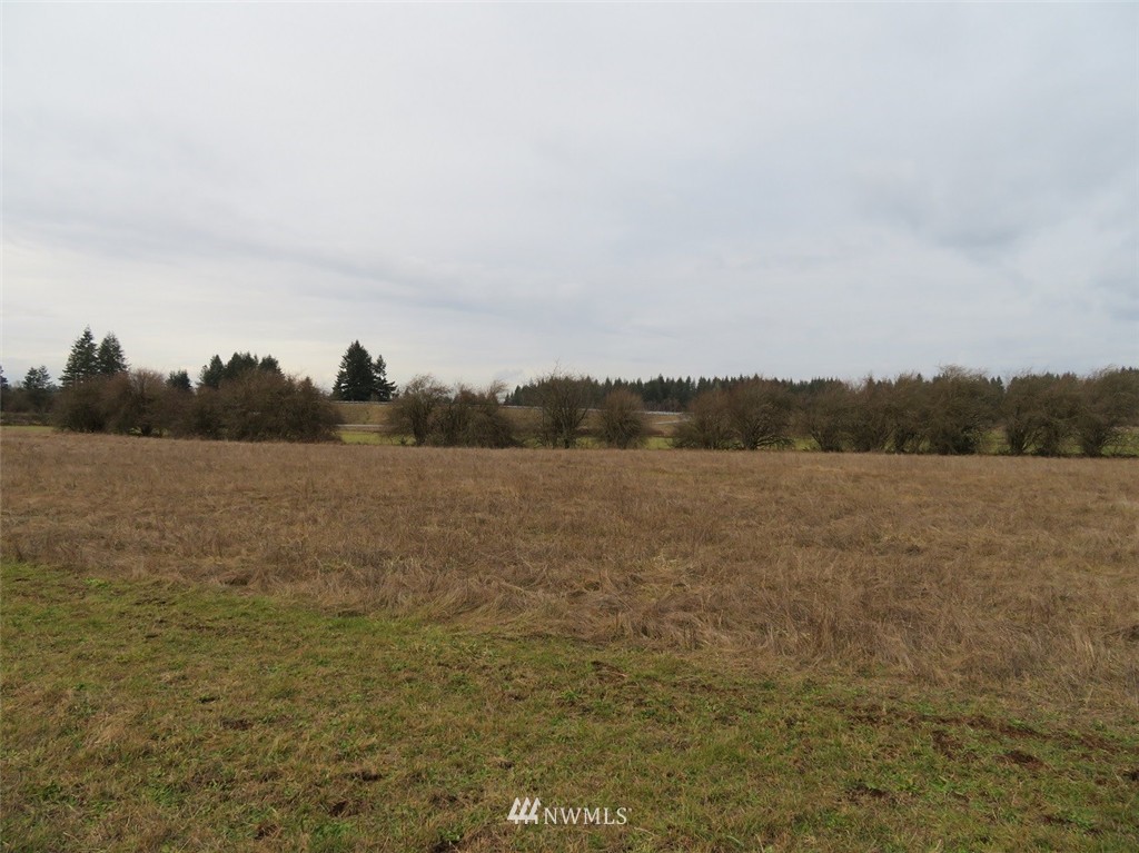 -xxx Xxx Bremgartner Road Winlock, WA 98596 - Photo 23 of 25