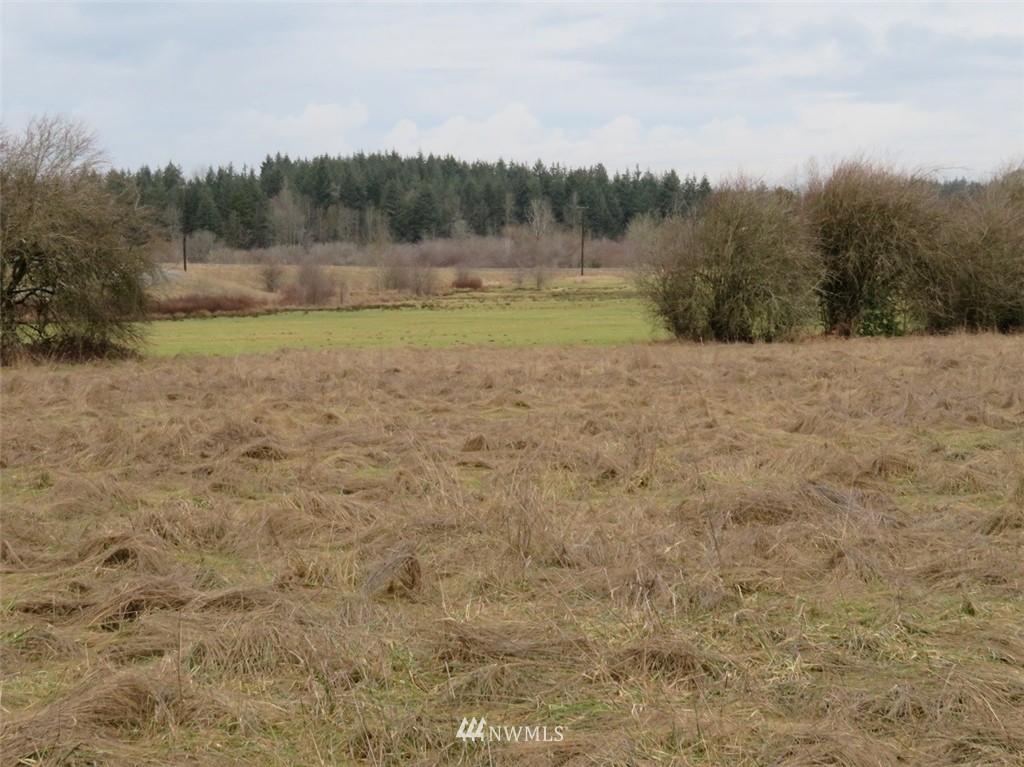 -xxx Xxx Bremgartner Road Winlock, WA 98596 - Photo 5 of 25