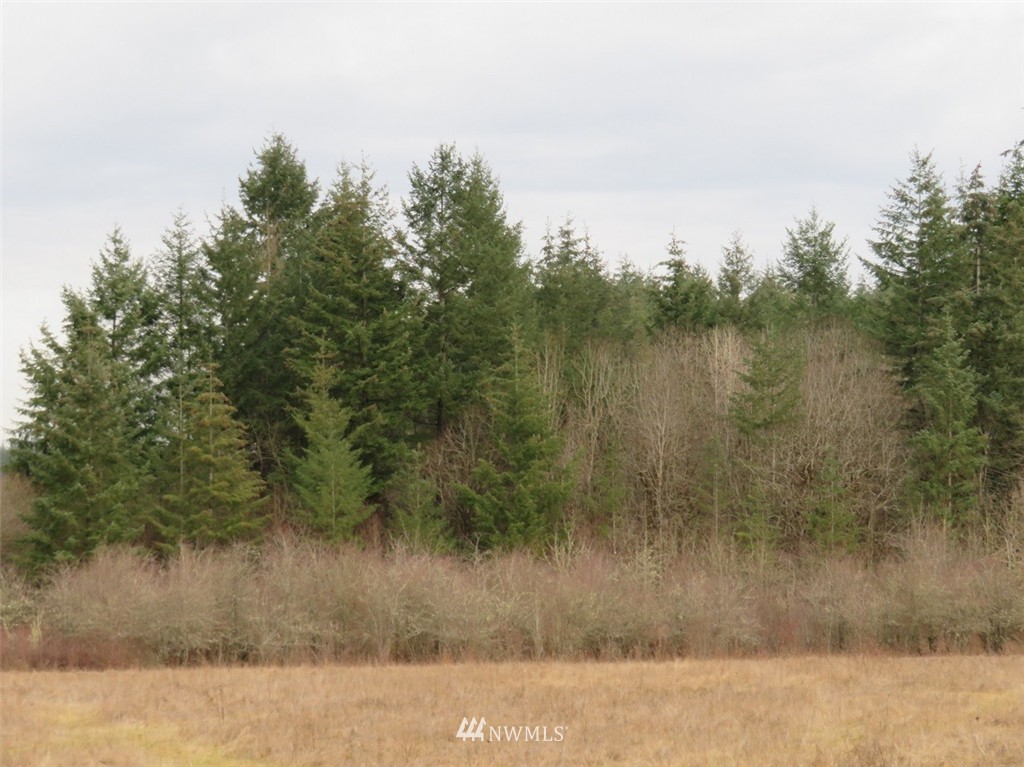 -xxx Xxx Bremgartner Road Winlock, WA 98596 - Photo 7 of 25