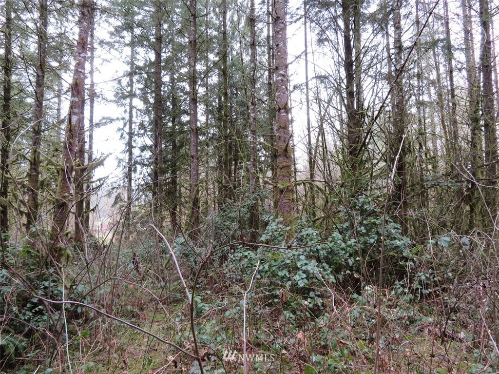 -xxx Xxx Bremgartner Road Winlock, WA 98596 - Photo 8 of 25