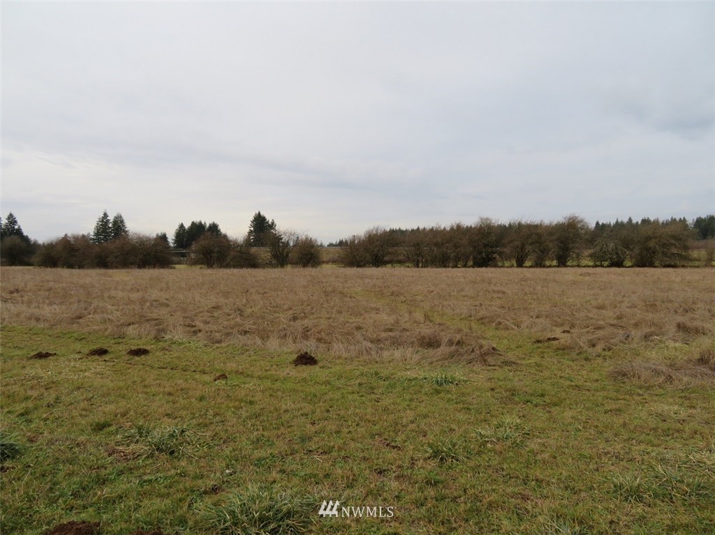 -xxx Xxx Bremgartner Road Winlock, WA 98596 - Photo 9 of 25