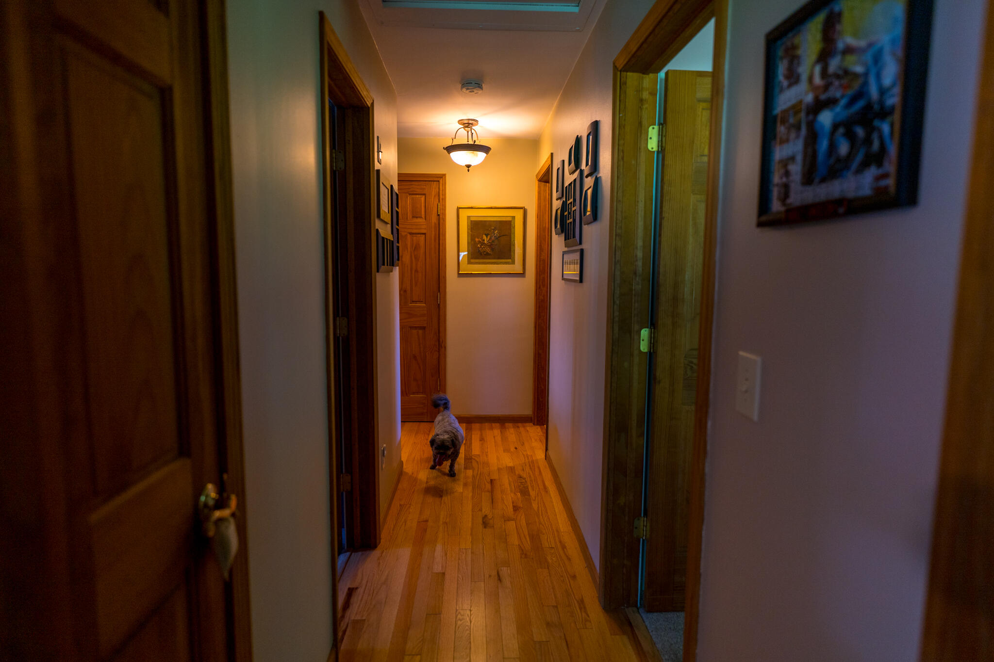 310 South Parham Road Bronson, MI 49028 - Photo 38 of 57 A7301785