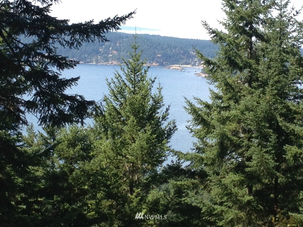 0 Switchback Road Orcas Island, WA 98245 - Photo 1 of 5 Gallery Image 1
