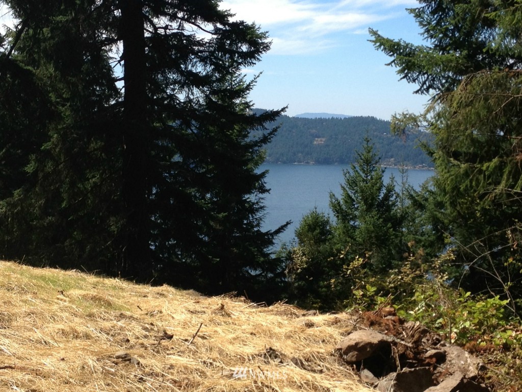 0 Switchback Road Orcas Island, WA 98245 - Photo 2 of 5 Gallery Image 2