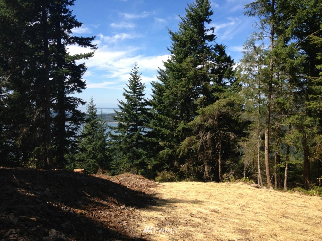 0 Switchback Road Orcas Island, WA 98245 - Photo 4 of 5 Gallery Image 4