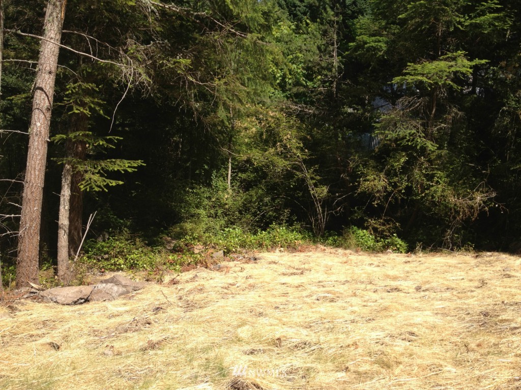 0 Switchback Road Orcas Island, WA 98245 - Photo 5 of 5 Gallery Image 5