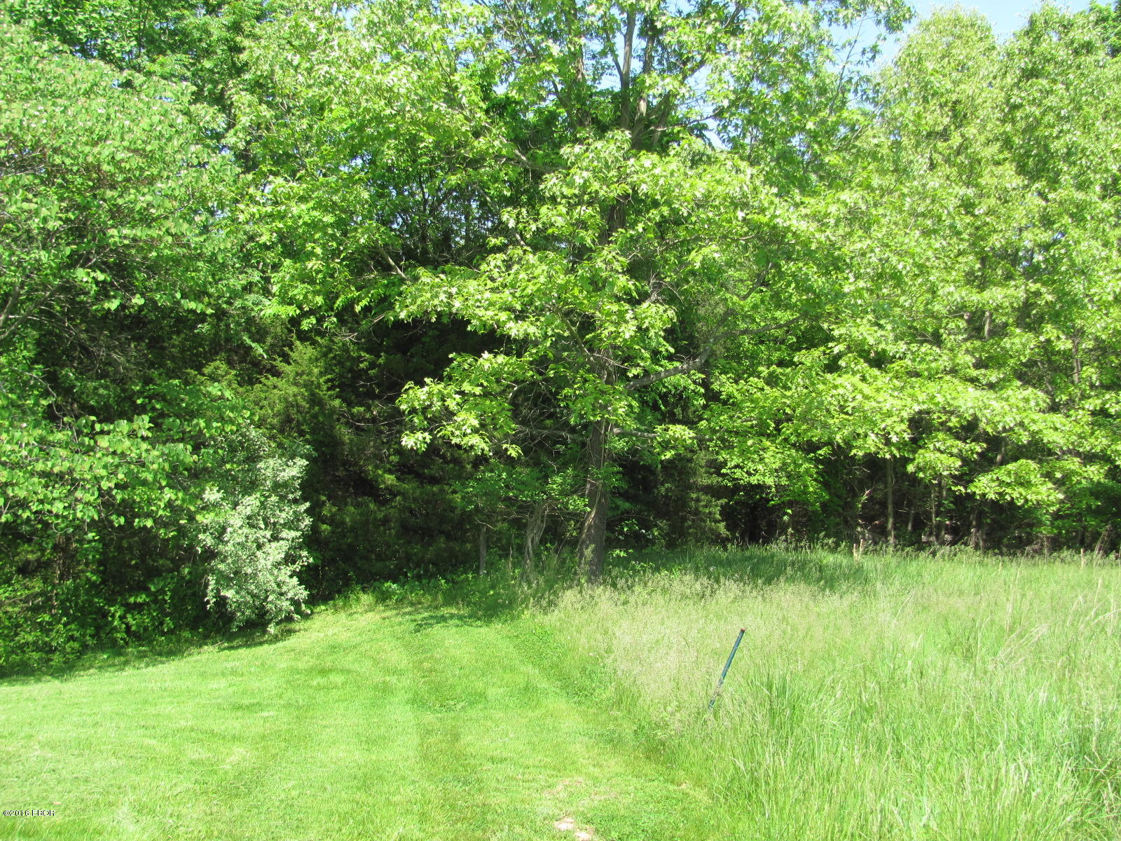 3455 Grassy Road Carbondale, IL 62902 - Photo 2 of 4 Gallery Image 2