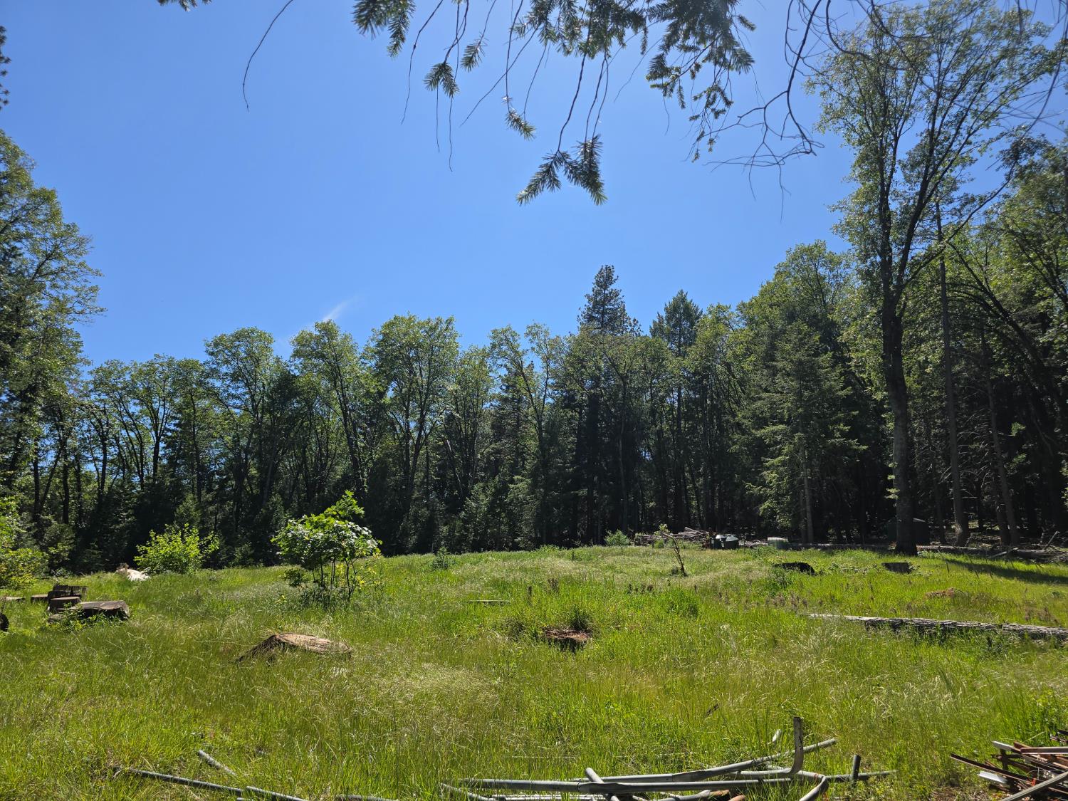 14599 Tumbling Creek Road Grass Valley, CA 95945 - Photo 6 of 9 a view of swimming pool