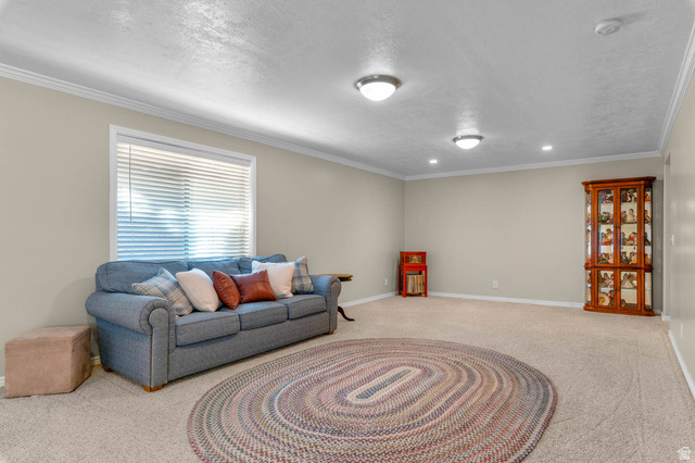 11474 South Jordan Farms Road South Jordan, UT 84095 - Photo 20 of 40