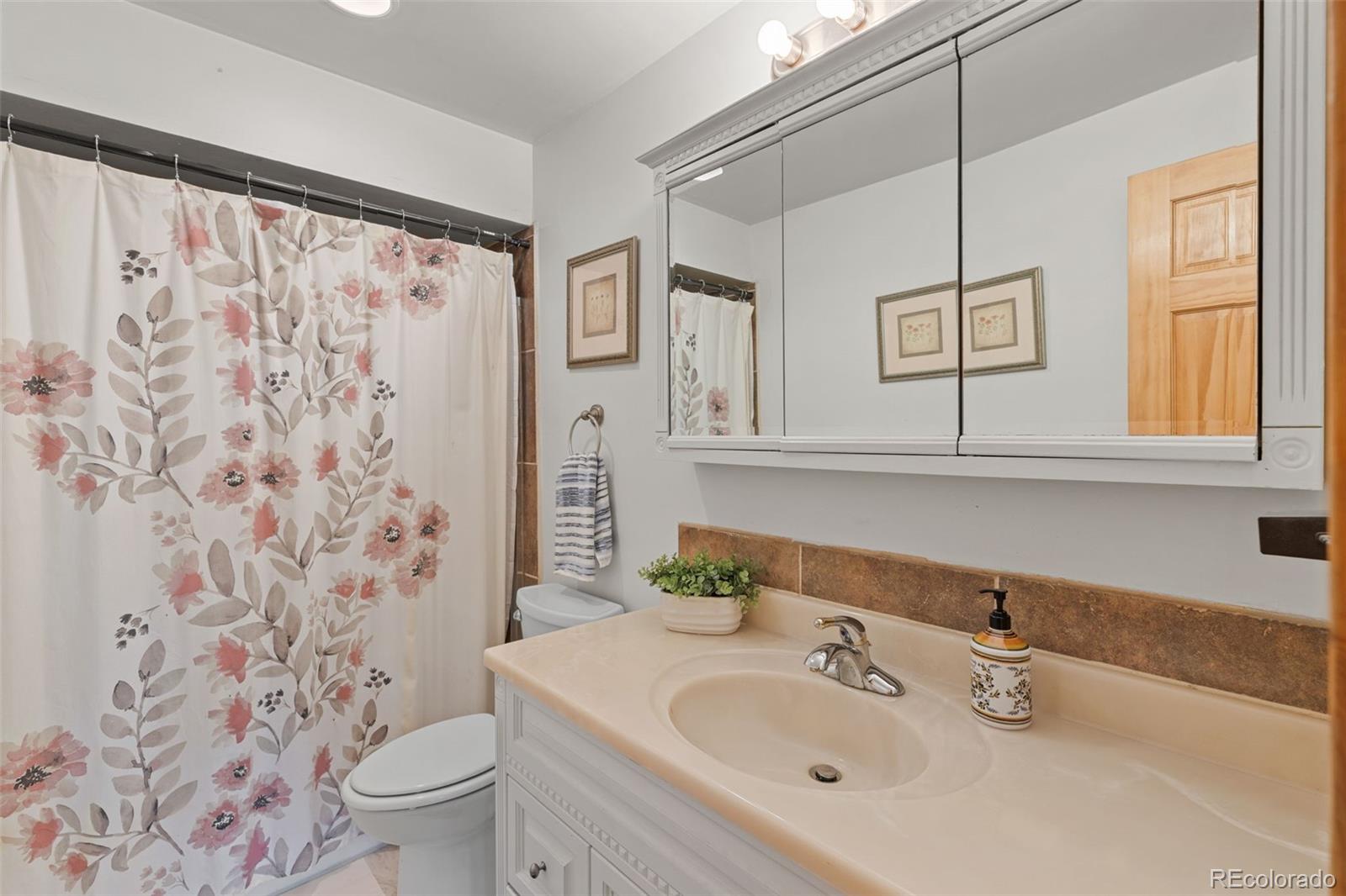 518 Pine Drive Bailey, CO 80421 - Photo 33 of 43 a bathroom with a sink and a mirror