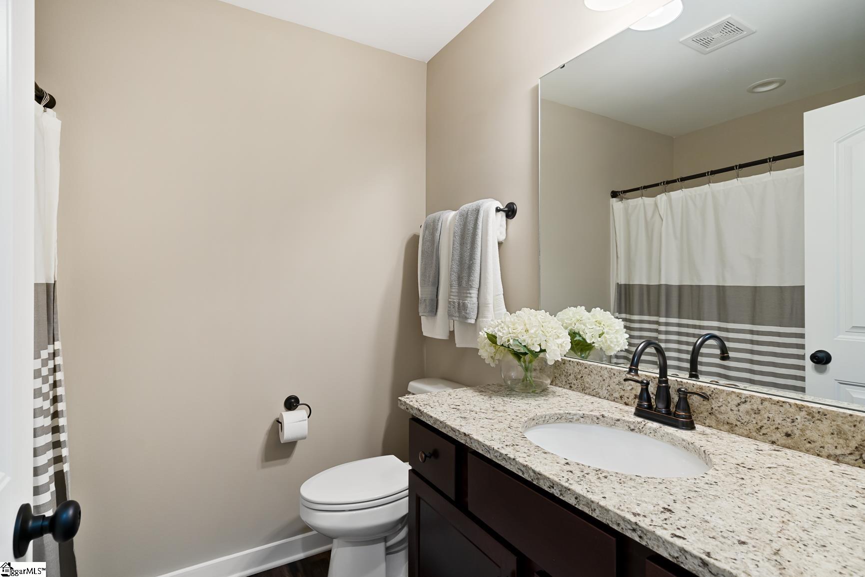 7437 Old Laurens Road Gray Court, SC 29645 - Photo 23 of 28 Gallery Image 23