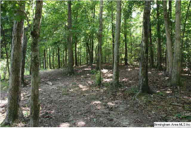 Mudd Street Lincoln, AL 35096 - Photo 32 of 32