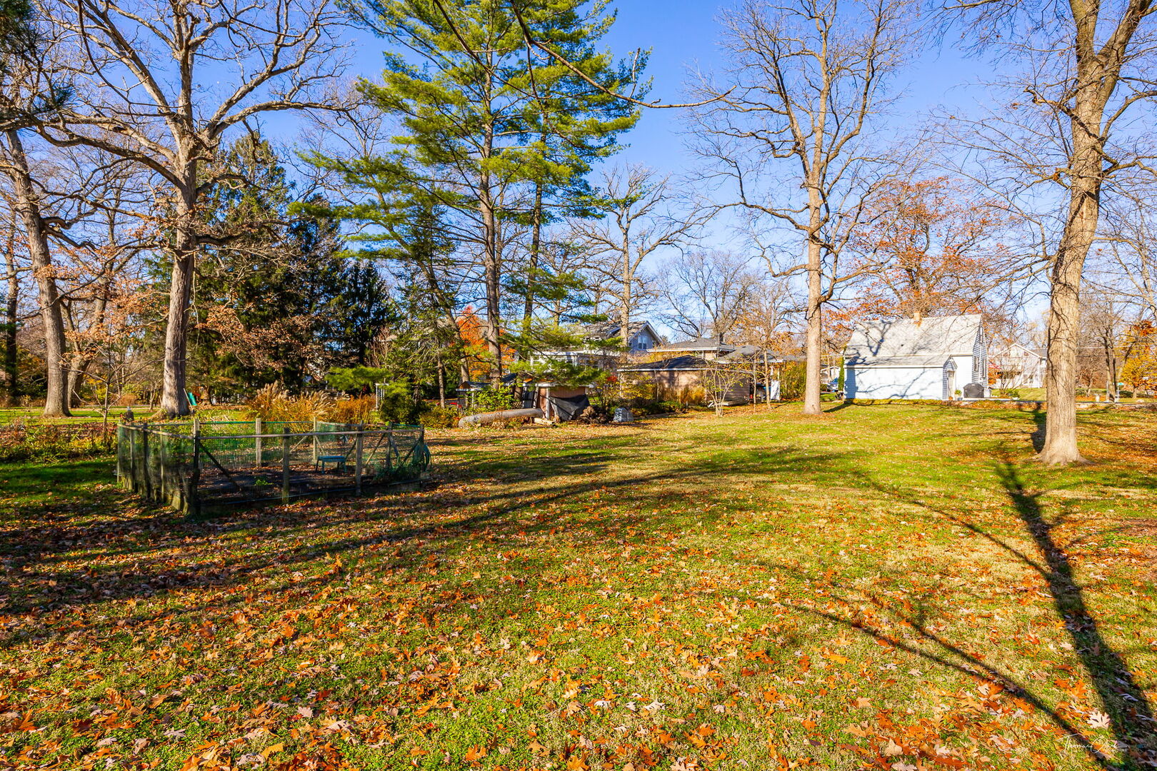 1901 Curtiss Street Downers Grove, IL 60515 - Photo 32 of 45 a view of road with large trees