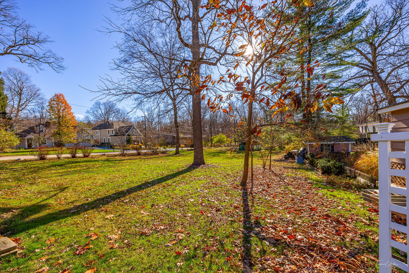 1901 Curtiss Street Downers Grove, IL 60515 - Photo 33 of 45 a view of yard with tree