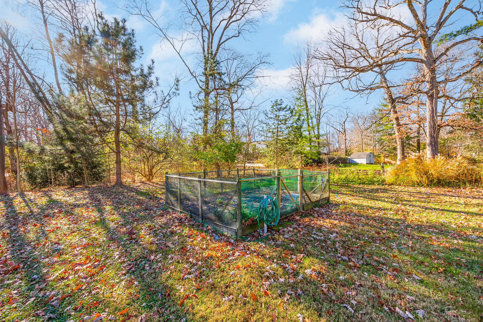 1901 Curtiss Street Downers Grove, IL 60515 - Photo 34 of 45 a view of a yard with plants and trees
