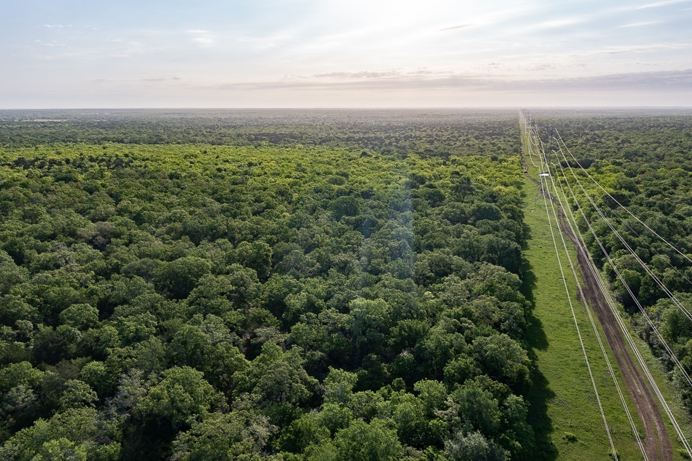 Tbd Anchor Ranch Loop Flatonia, TX 78941 - Photo 10 of 15 a view of a green field with lots of bushes