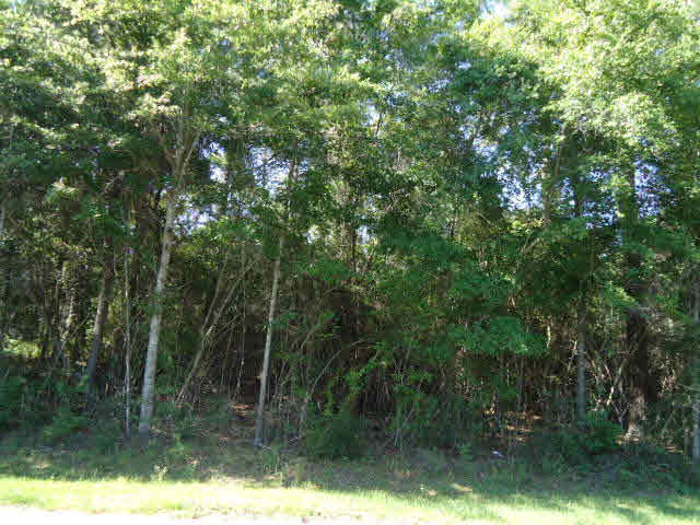 12297 Charlie Head Road Stapleton, AL 36578 - Photo 29 of 29 Wooded Lot
