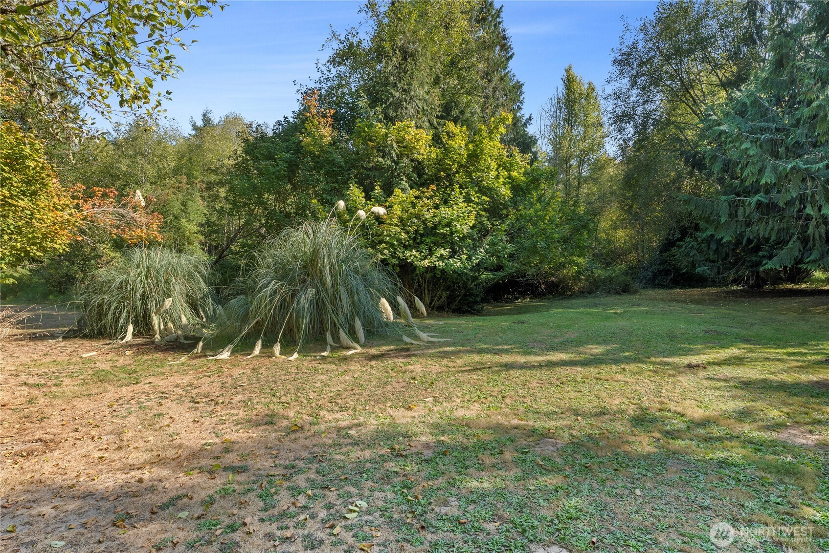 1218 Scammon Creek Road Centralia, WA 98531 - Photo 38 of 40 Gallery Image 38