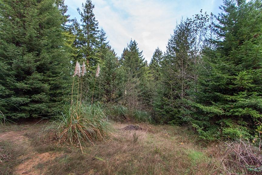4259 Campton Road Eureka, CA 95503 - Photo 47 of 49