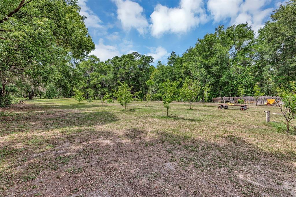 1124 Ustler Road Apopka, FL 32712 - Photo 21 of 24