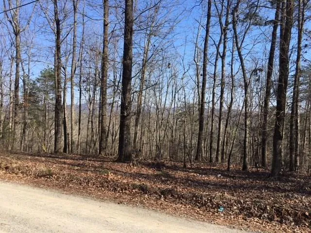 $39,900 | 1 Raven Cliff Road, Talking Rock, GA 30175