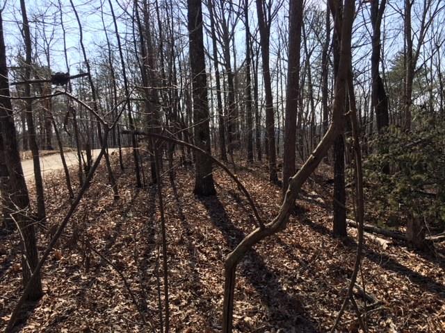 1 Raven Cliff Road Talking Rock, GA 30175 - Photo 3 of 9 Nice level building sites