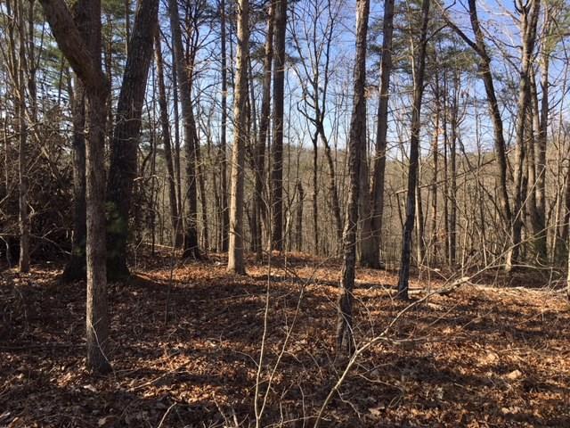 1 Raven Cliff Road Talking Rock, GA 30175 - Photo 4 of 9