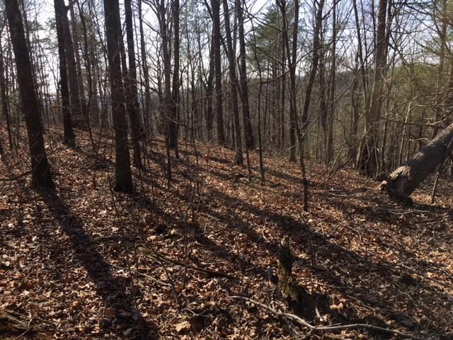 1 Raven Cliff Road Talking Rock, GA 30175 - Photo 6 of 9