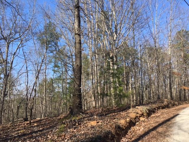 1 Raven Cliff Road Talking Rock, GA 30175 - Photo 8 of 9